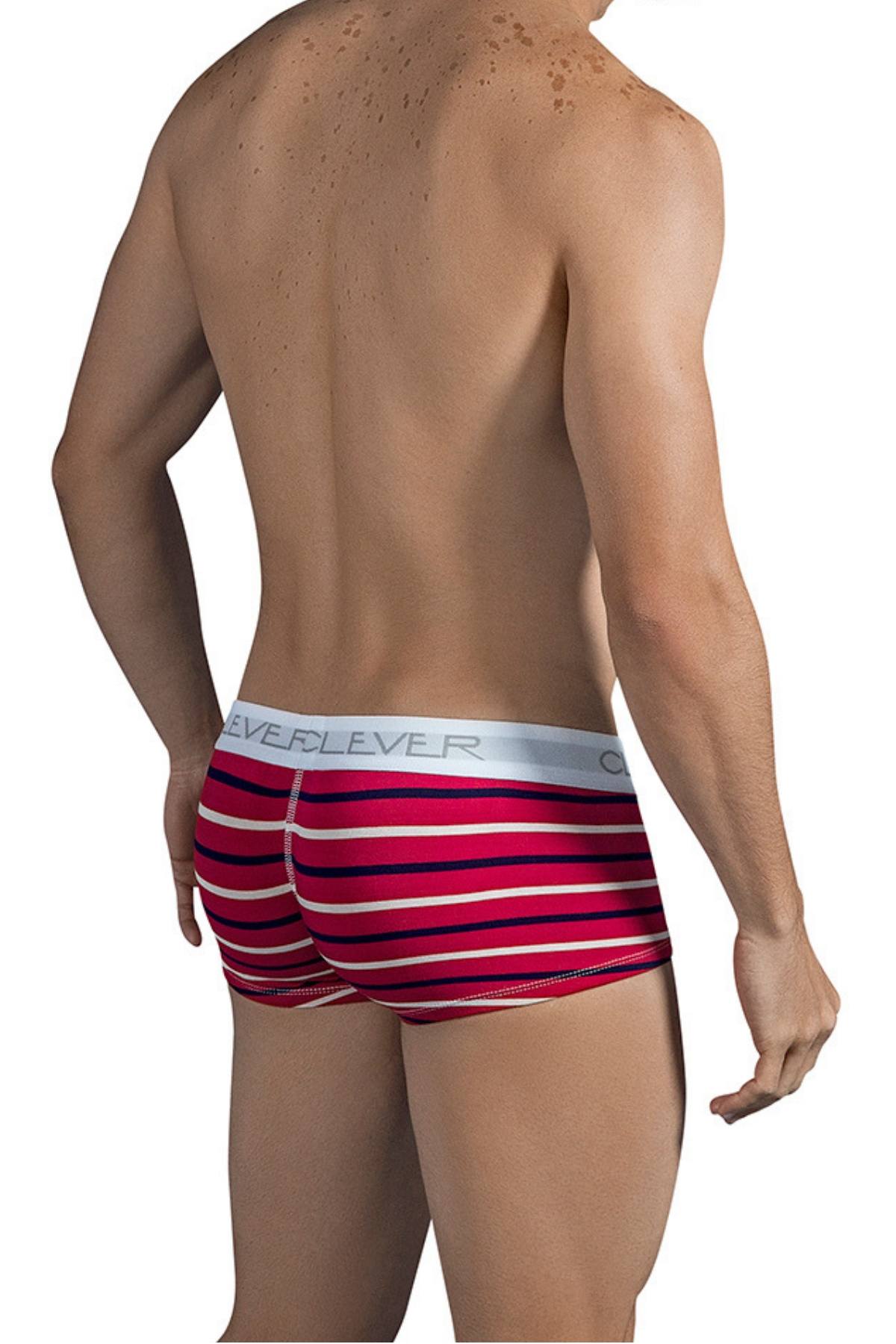 Clever Red Wine Latin Boxer