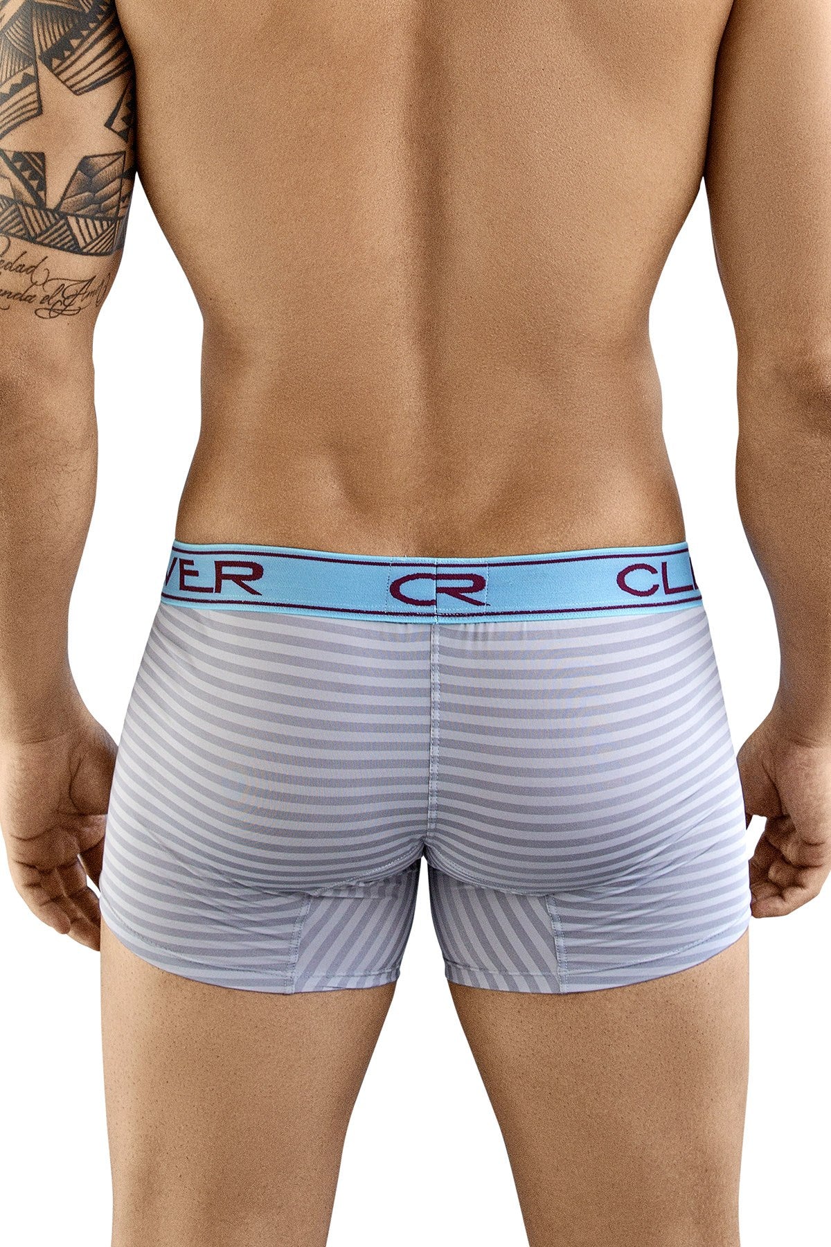 Clever Silver Sensation Trunk