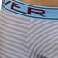 Clever Silver Sensation Trunk