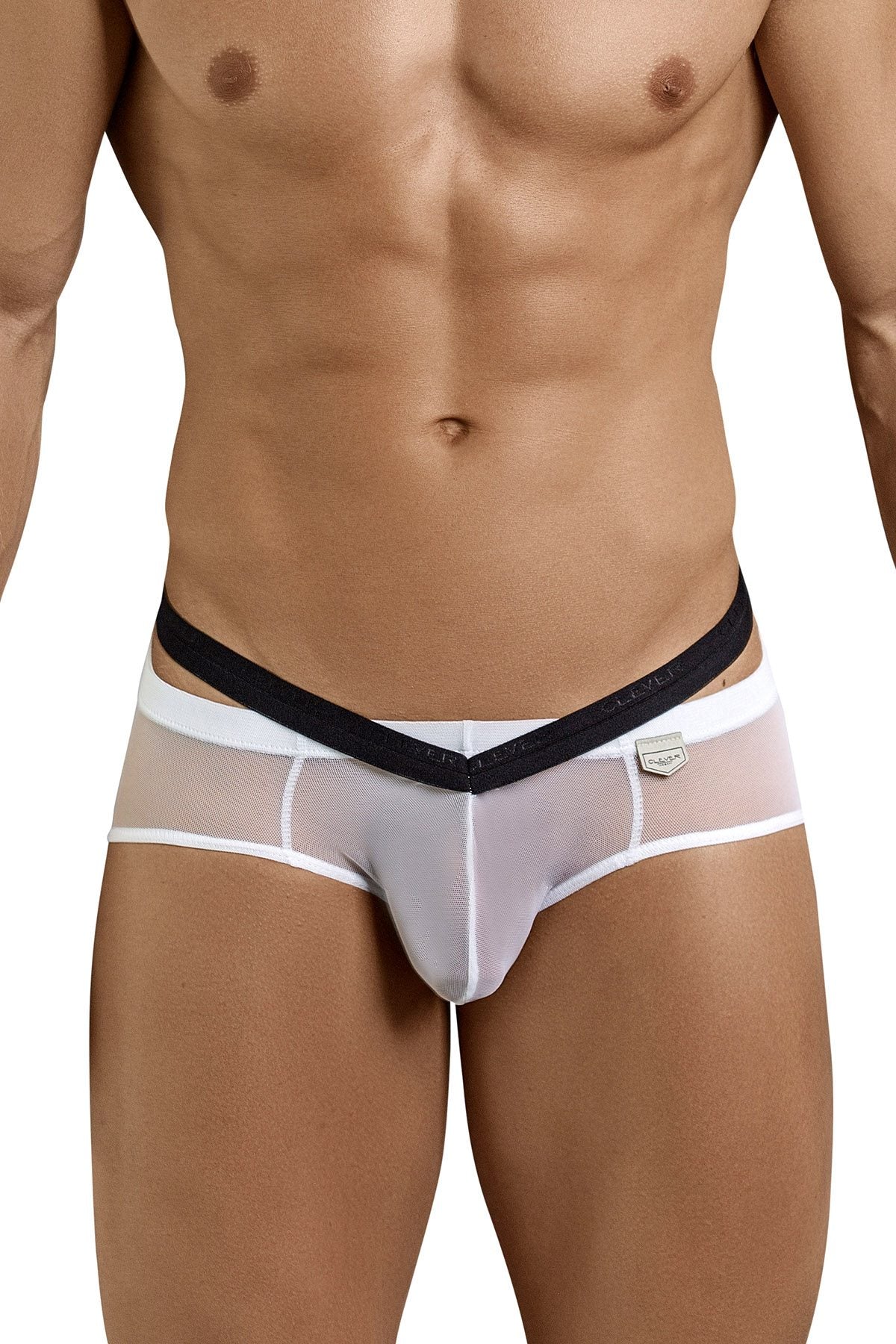 Clever White Gorgeous Latin Brief