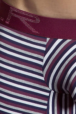 Clever Wine/Navy Stripe Limited Edition Trunk thumbnail 3