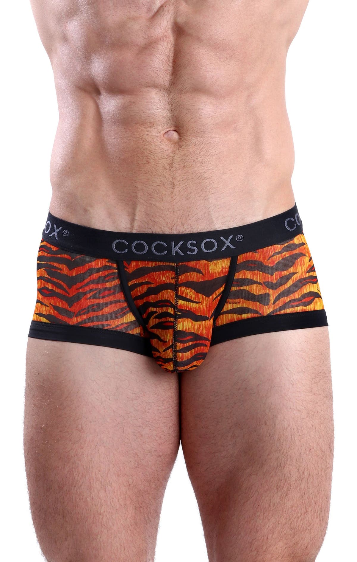 Cocksox Tiger CX68ME Mesh Trunk