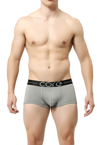 Core Grey Power Boxer Trunk