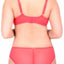 Crème Bralée Sugar-Coral Annalise All-Lace Hipster