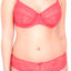Crème Bralée Sugar-Coral Annalise All-Lace Hipster
