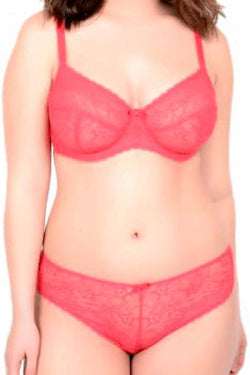 Crème Bralée Sugar-Coral Annalise All-Lace Hipster thumbnail 2
