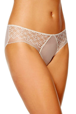 DKNY Sheer Lace Hipster in Vanity Nude thumbnail 1