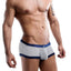 Daniel Alexander Grey/Navy Sheer Contrast Trunk