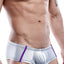 Daniel Alexander Grey/Purple-Stripe Trunk