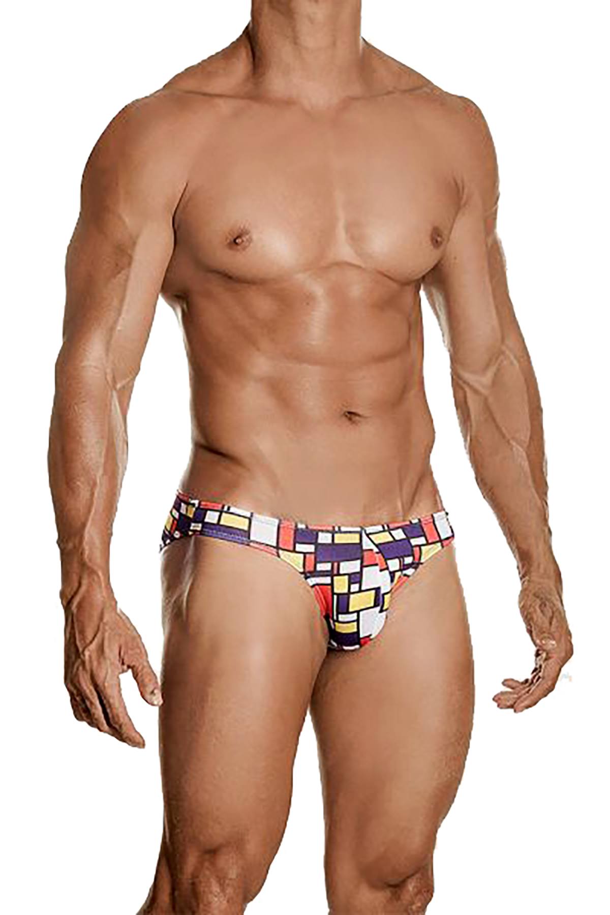 Daniel Alexander Printed Art-Deco Fritz Bikini Brief