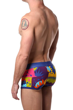 Discover Bob Dreamland Trunk thumbnail 3