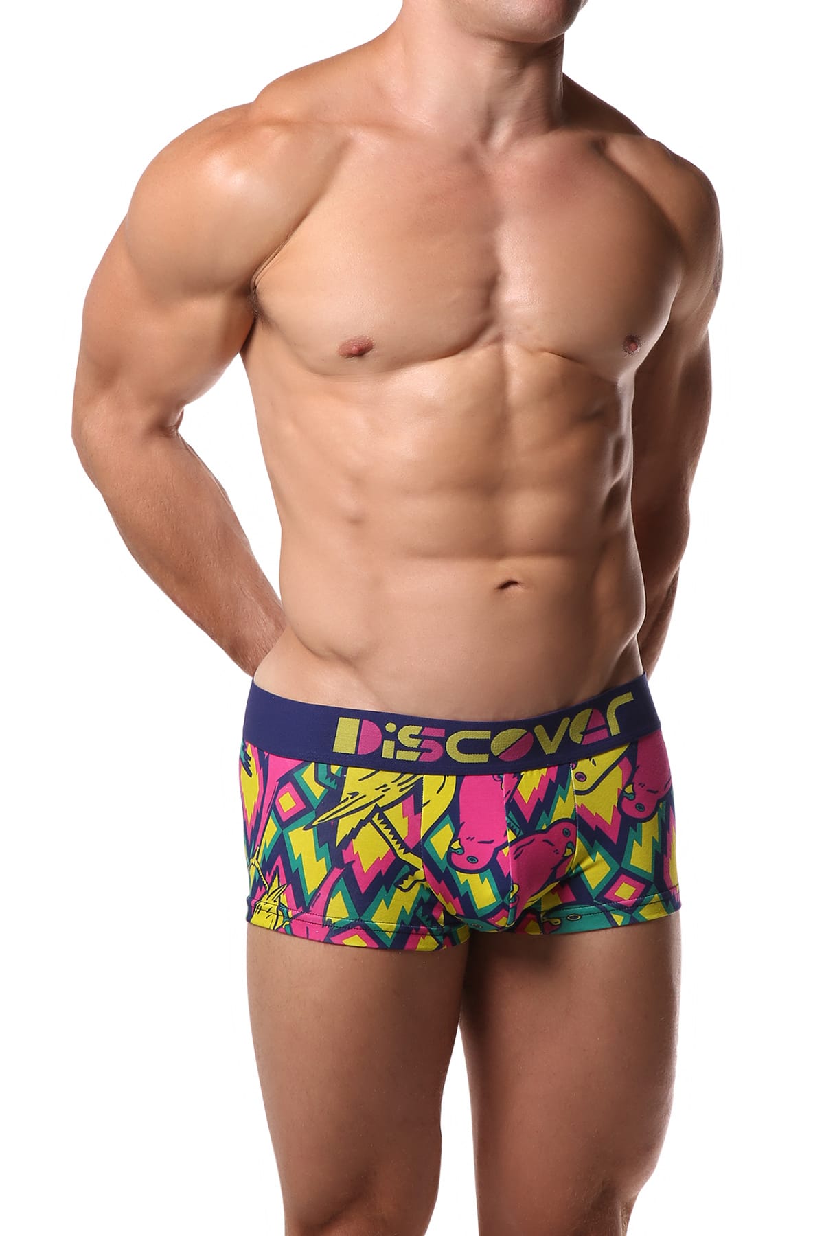 Discover Bombay Trunk