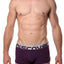 Discover Grape-Purple Silver Trunk