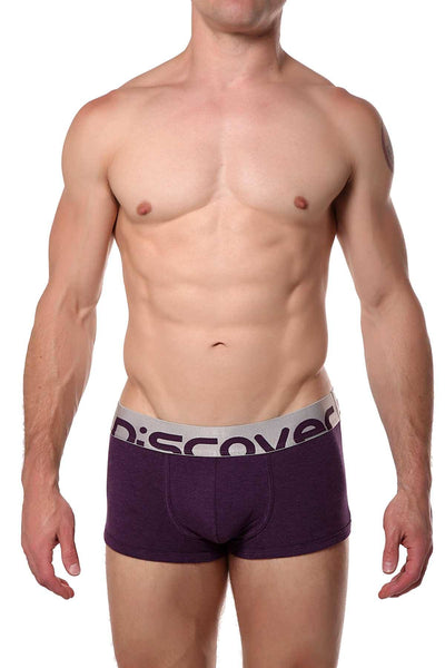 Discover Grape-Purple Silver Trunk