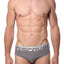 Discover Stone-Grey Silver Brief