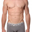 Discover Stone-Grey Silver Trunk