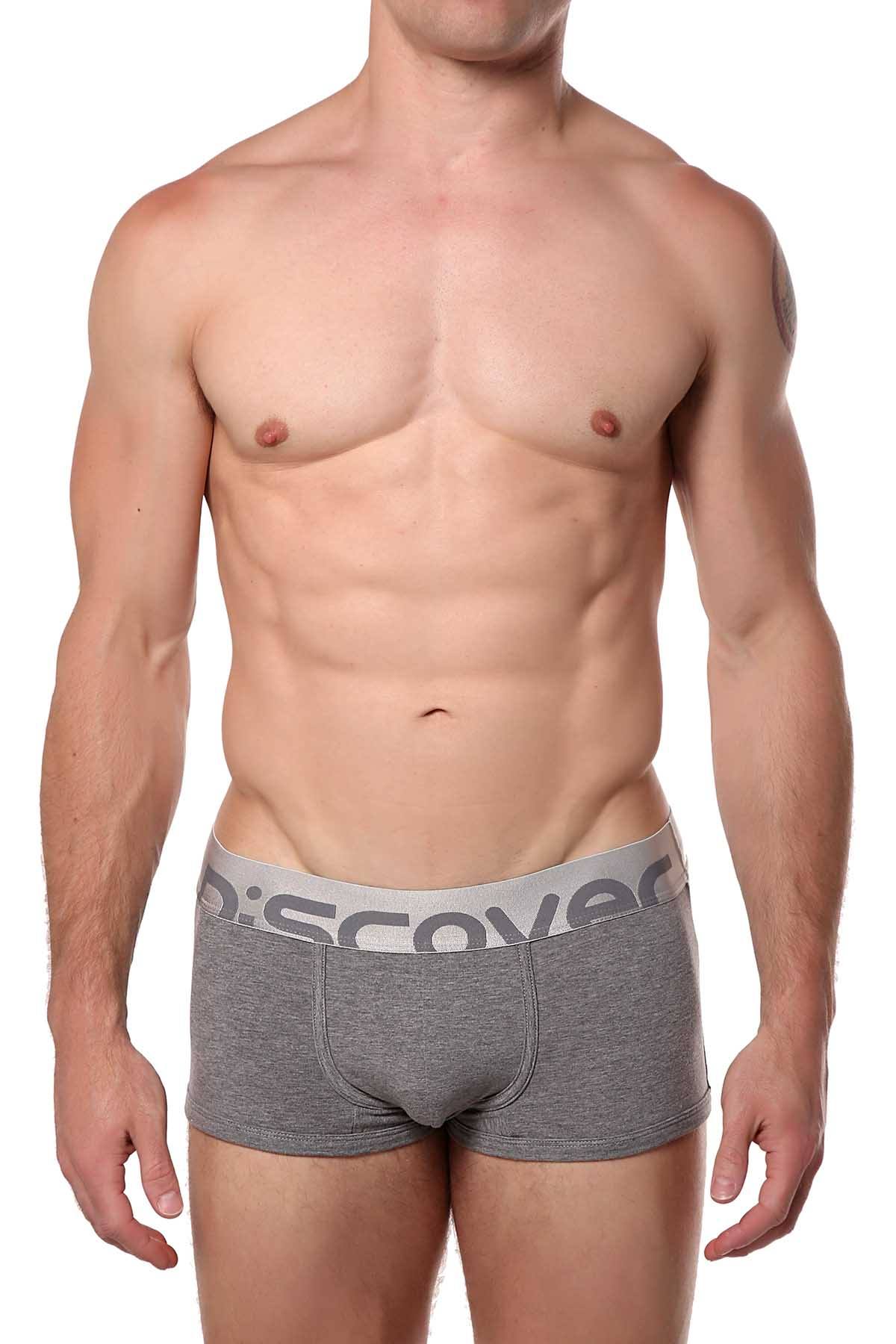 Discover Stone-Grey Silver Trunk