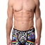 Discover Terry Dreamland Boxer Brief
