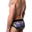Discover Terry Dreamland Brief