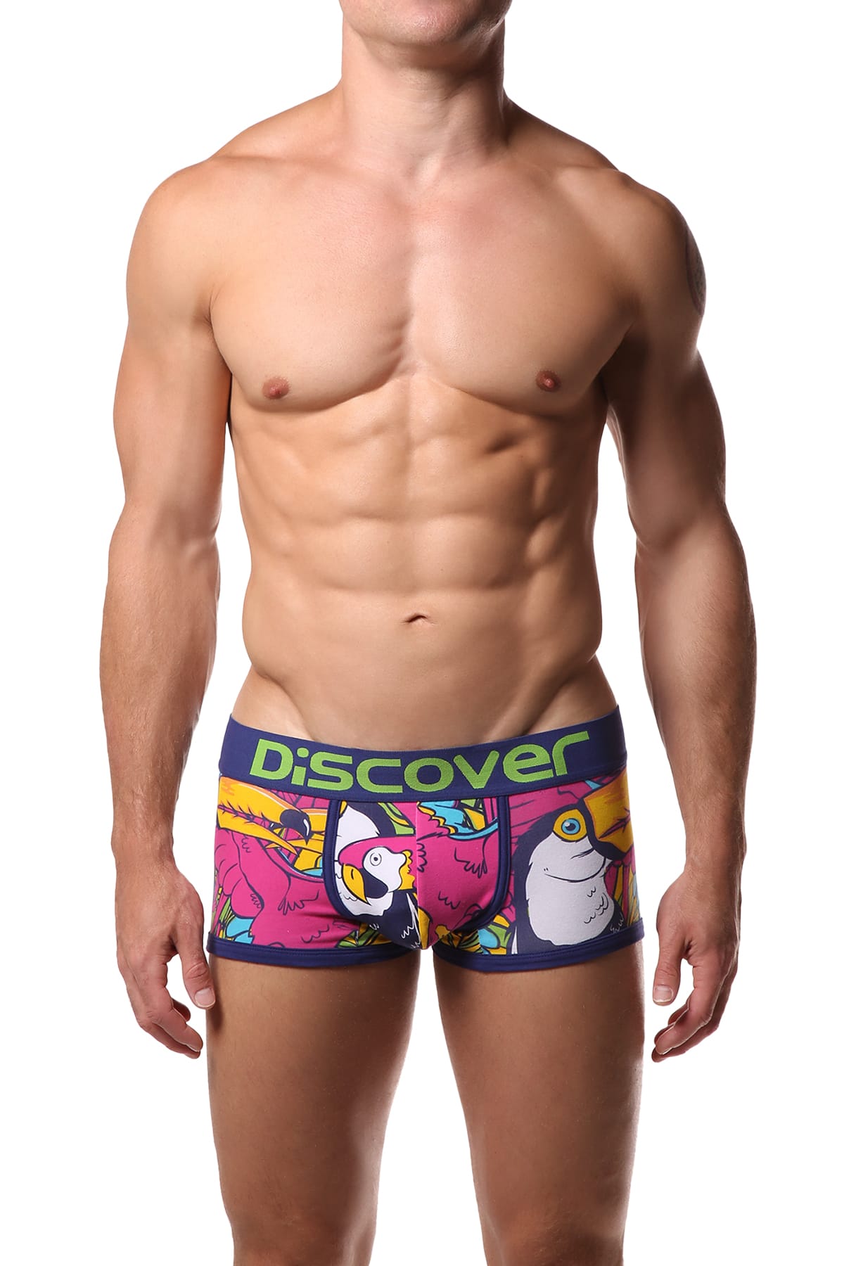 Discover Tucan Trunk