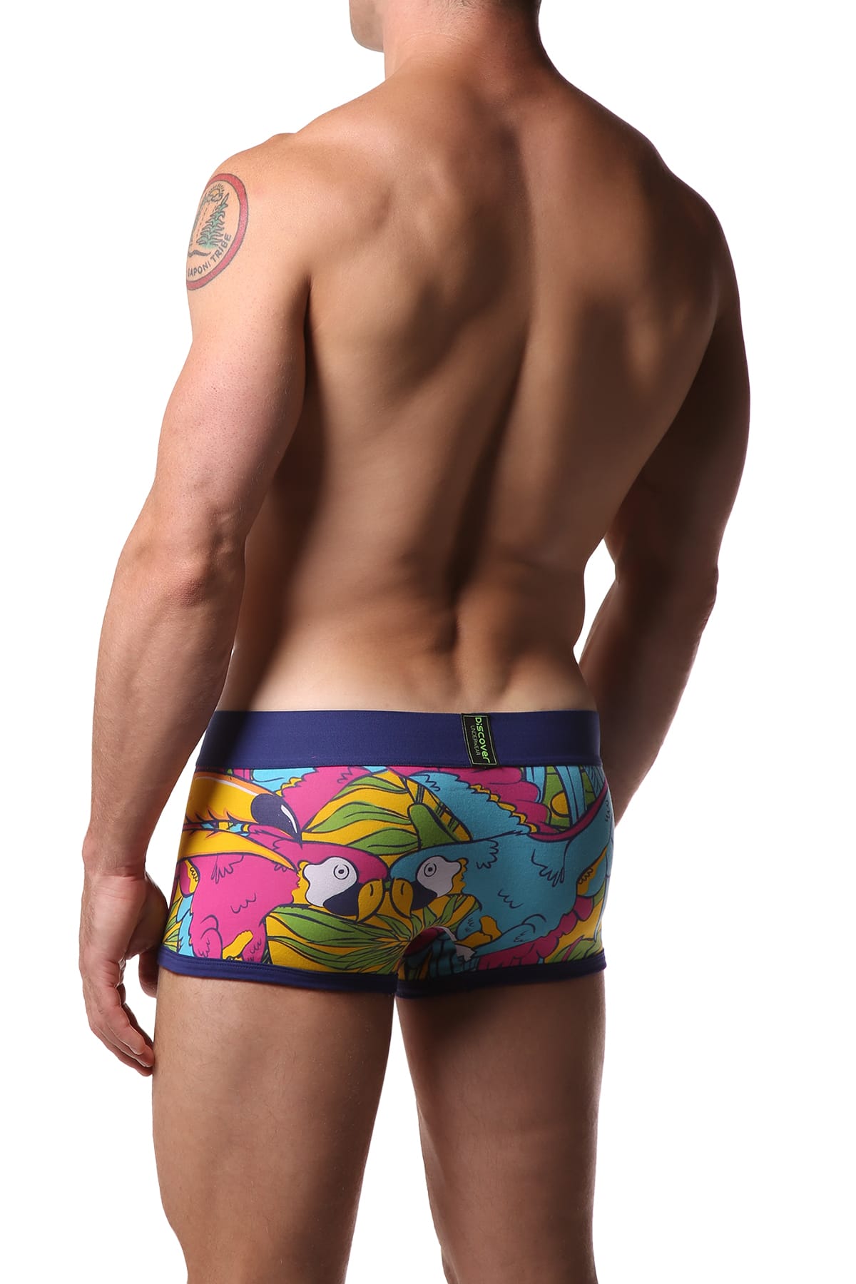 Discover Tucan Trunk