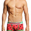Discover Watermelon Trunk