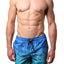 Distortion Blue/Aqua Ombre Palm Tree Print Swim Short
