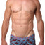 Doreanse Cavalry Printed Trunk