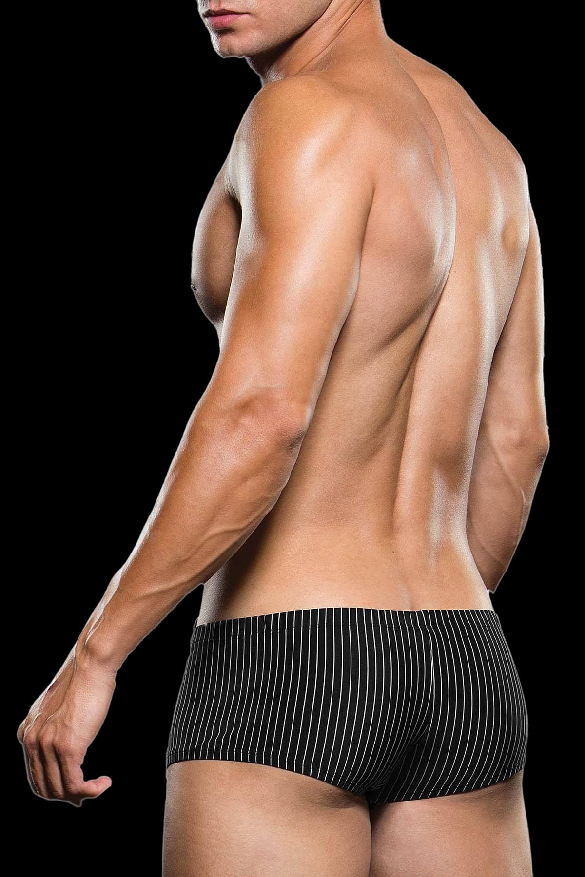 Envy Black Microfiber Pinstripe Trunk