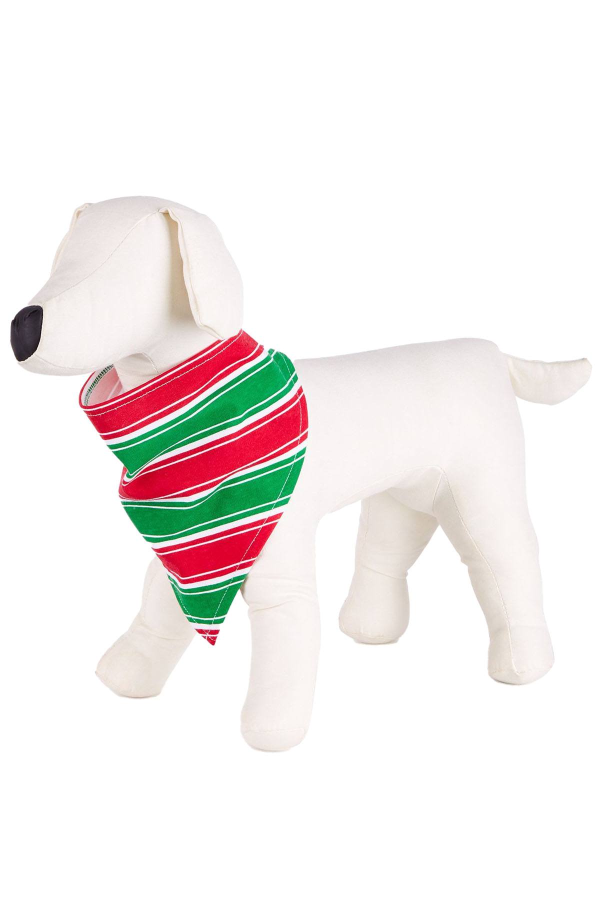 Family PJs PET Crushed It Pet Bandana in Holiday Stripe