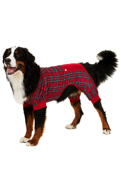 Family PJs PET Holiday Pajamas in Brinkley Plaid