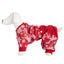 Family PJs PET Holiday Pajamas in Merry Snowflake