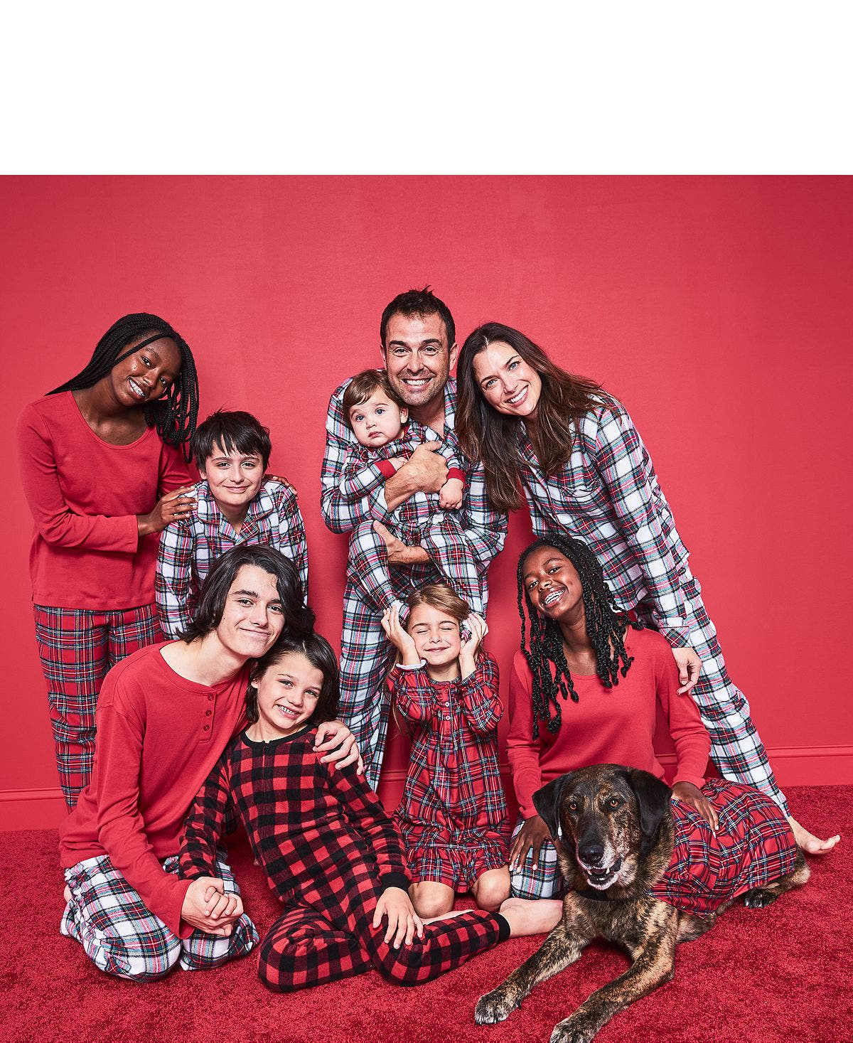 Family Pajamas Matching Brinkley Plaid Pet Pajamas Brinkley Plaid
