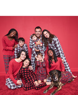 Family Pajamas Matching Brinkley Plaid Pet Pajamas Brinkley Plaid thumbnail 1