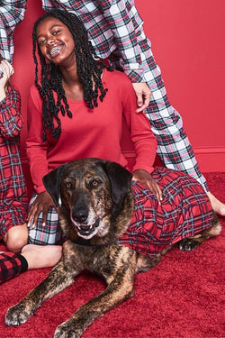 Family Pajamas Matching Brinkley Plaid Pet Pajamas Brinkley Plaid thumbnail 2
