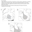 Fashion Forms Voluptuous Silicone Lift Bra Mc541 Nude 5