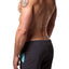 Freedom Reigns Grey/Aqua Wave Boardshort