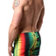 Gigo Marley Soul Swim Short