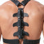 Gregg Homme Black Frame Leather Chest Harness