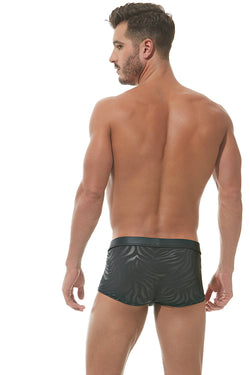 Gregg Homme Black Hookt Trunk thumbnail 2
