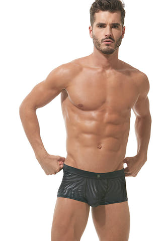 Gregg Homme Black Hookt Trunk