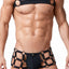 Gregg Homme Black Octane 2.0 Bulldog Harness
