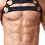 Gregg Homme Black Octane 2.0 Bulldog Harness