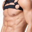 Gregg Homme Black Octane 2.0 Bulldog Harness