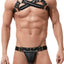 Gregg Homme Black Unzip Leather Chest Harness