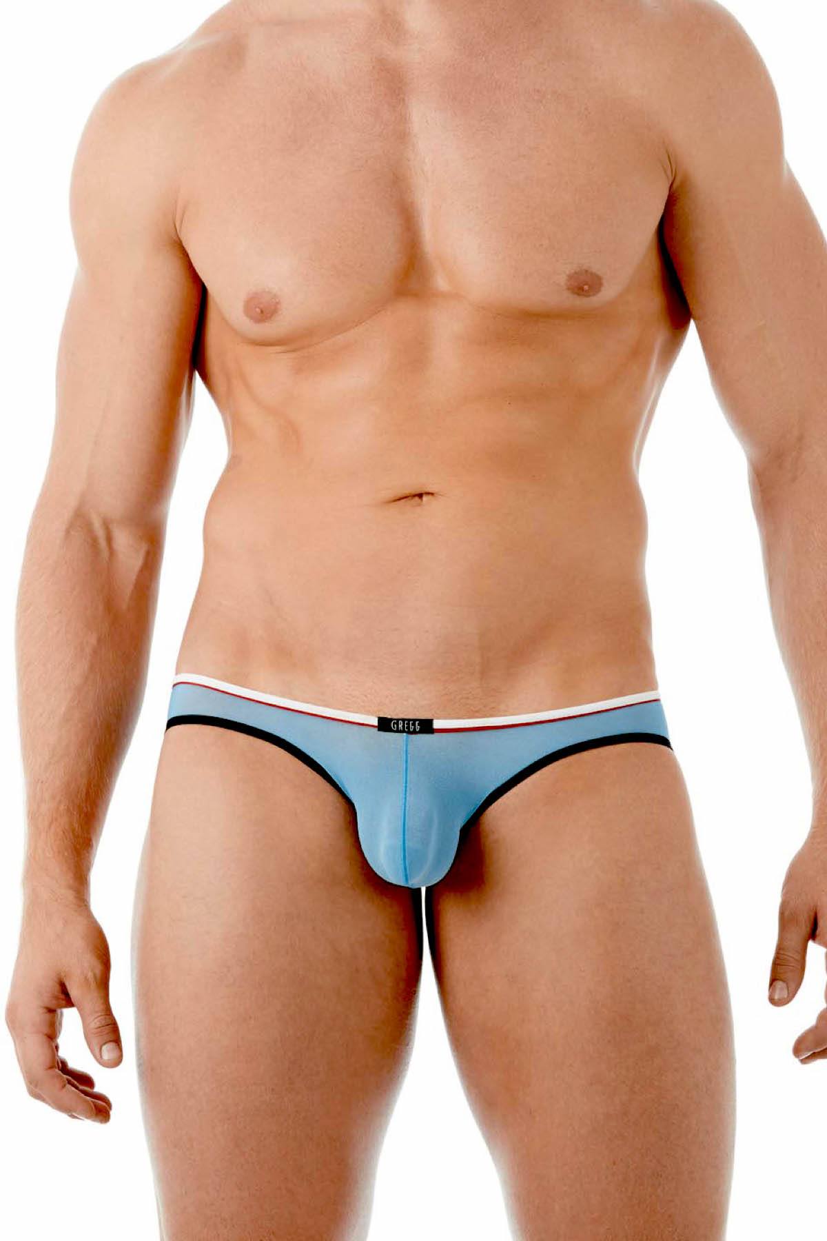 Gregg Homme Blue Affair Sheer Knit Brief