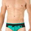 Gregg Homme Emerald Deep Dive Swim Brief