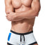Gregg Homme Grey Cruising Swim Trunk