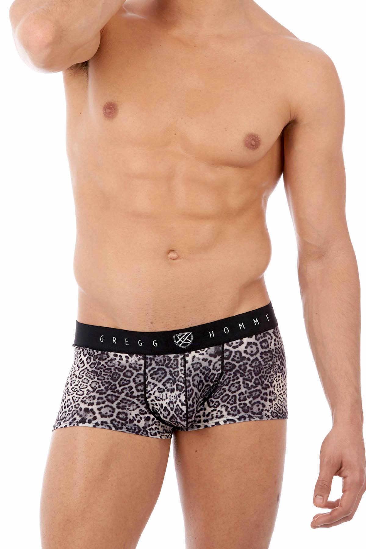 Gregg Homme Grey Desire Boxer Brief