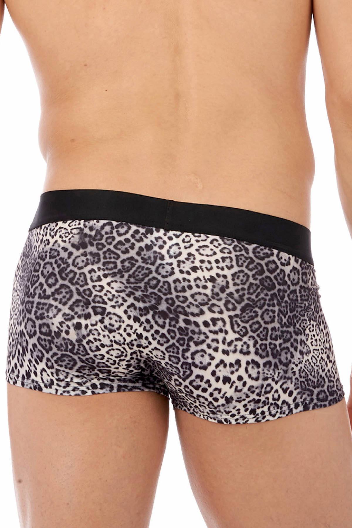 Gregg Homme Grey Desire Boxer Brief